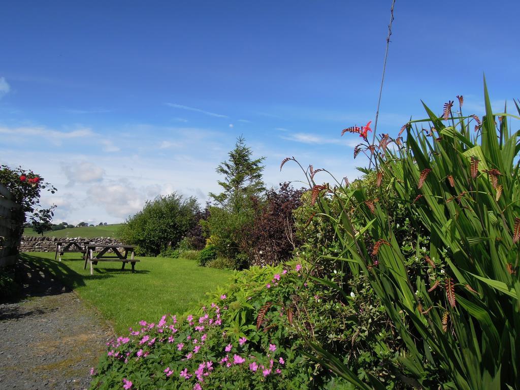 The Black Bull At Nateby 柯比斯蒂芬 外观 照片